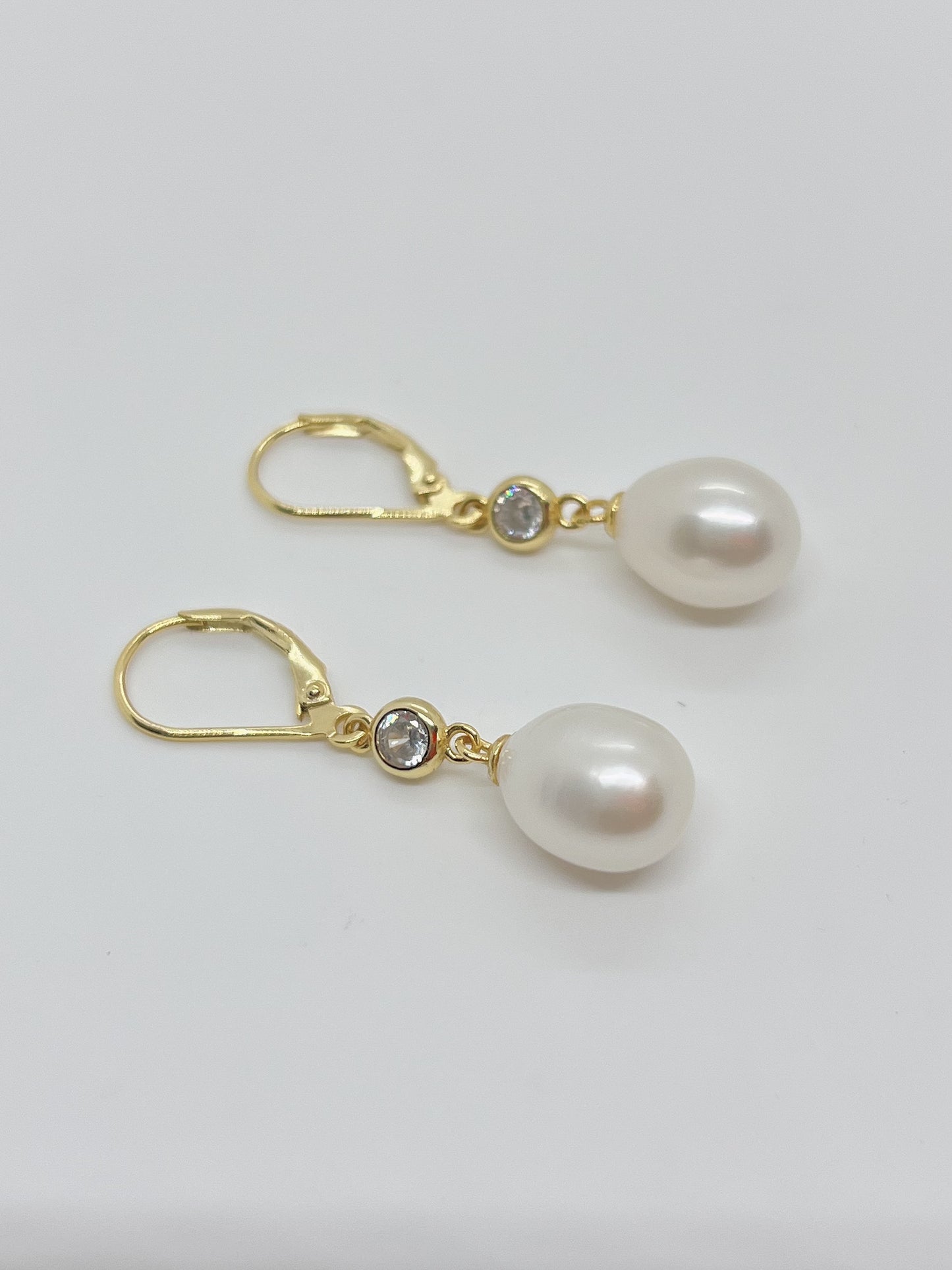 French Style Hook Earrings - jptreasureschest